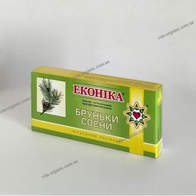 Почки сосны